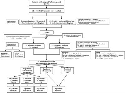 A Phase II Trial of the Double Epigenetic Priming Regimen Including Chidamide and Decitabine for Relapsed/Refractory Acute Myeloid Leukemia